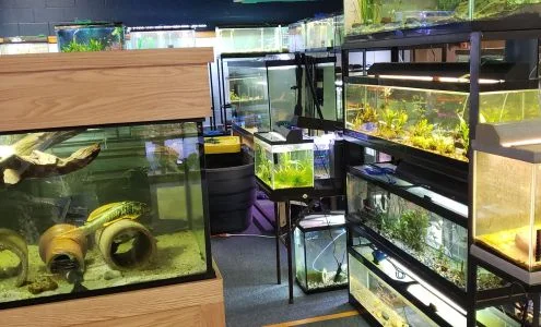Advanced Aquarium Systems business photo