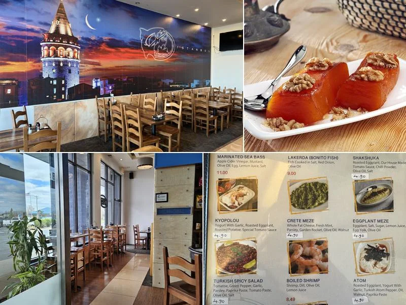 Taste of İstanbul-Mediterranean Cuisine business photo